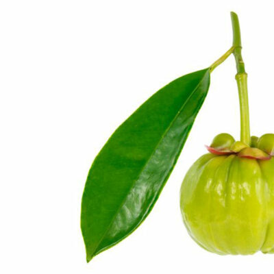 Garcinia – A simple fruit with numerous health benefits
