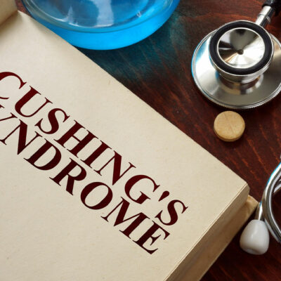 Cushing’s Disease in Dogs – Symptoms, Diagnosis, and Management